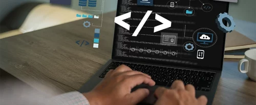 The Role of Low-Code and No-Code Tools in WordPress Development
